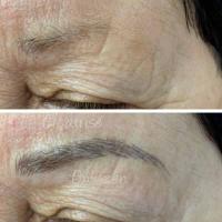 images/stories/plg/microblading/07.jpg